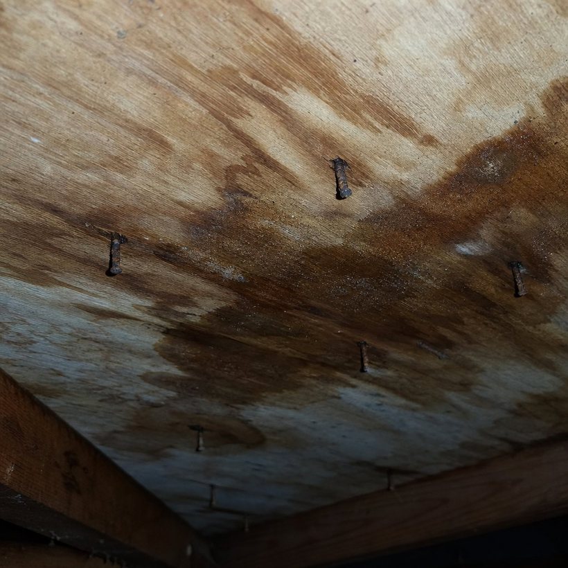 Water-stained roof sheathing with rusted, corroded roofing nails poking through